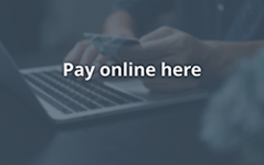 Pay your online taxes button
