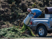 Dumping Yard Debris in Landfill