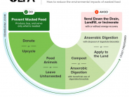How to reduce the impacts of wasted food