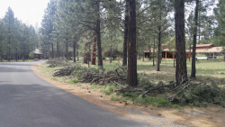 Photo of debris piles