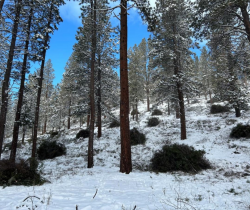 Photos of debris piles on a snow covered hill